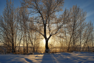 Similar image 21872541