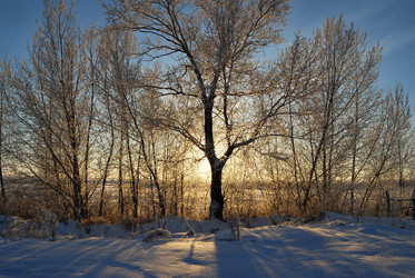 Similar image 21872542