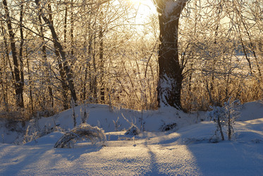 Similar image 21872543