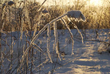 Similar image 21872544