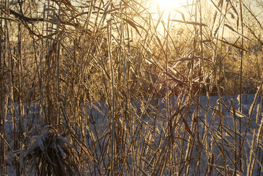 Similar image 21872545