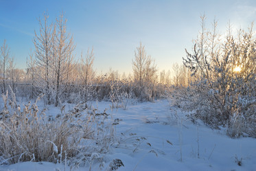 Similar image 21872546