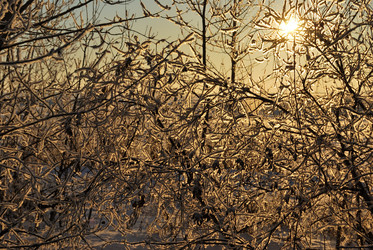 Similar image 21872548