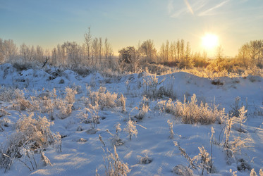 Similar image 21872552