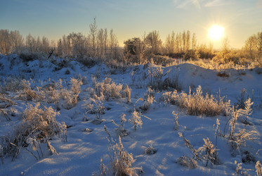 Similar image 21872554