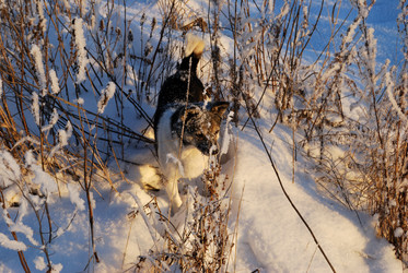 Similar image 21872555