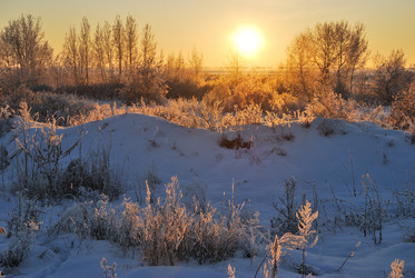 Similar image 21872561