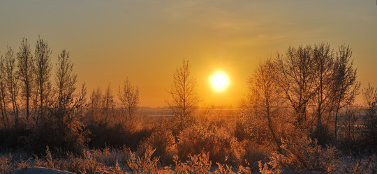 Similar image 21872572