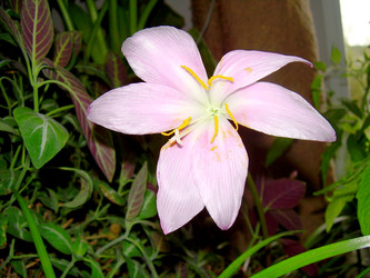 Similar image 21873185