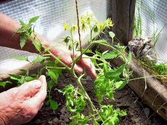 Similar image 21873186