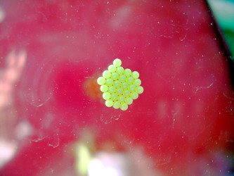 Similar image 21873187