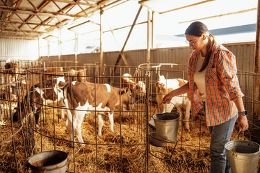 Similar image 21874668