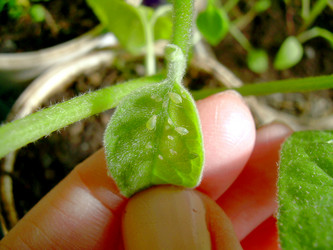 Similar image 21873128