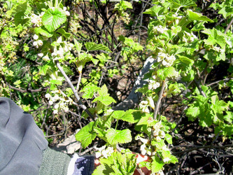 Similar image 21873129