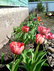 Similar image 21873131