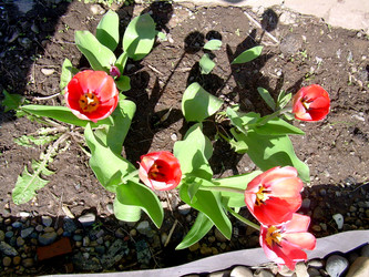 Similar image 21873132