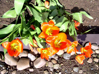 Similar image 21873133