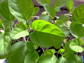 Similar image 21873135