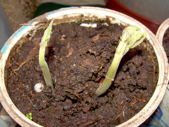 Similar image 21873136