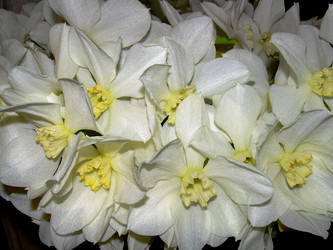 Similar image 21873138