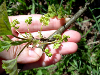 Similar image 21873139