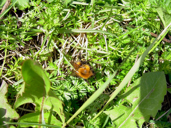 Similar image 21873154