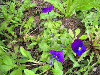 Similar image 21873155