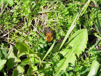 Similar image 21873156