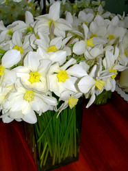 Similar image 21873157