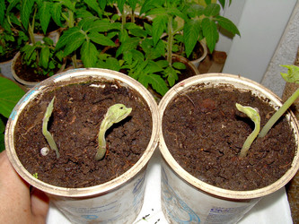 Similar image 21873159