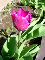 Similar image 21873160