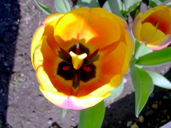 Similar image 21873161