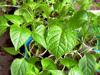 Similar image 21873162