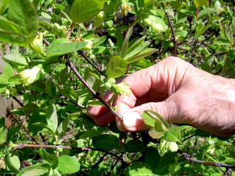 Similar image 21873163