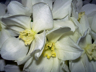 Similar image 21873164