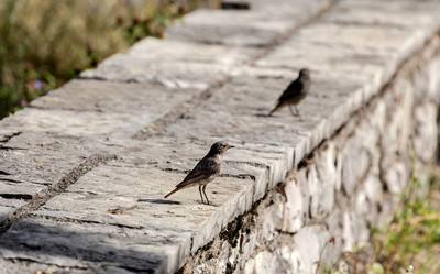 Similar image 21872455