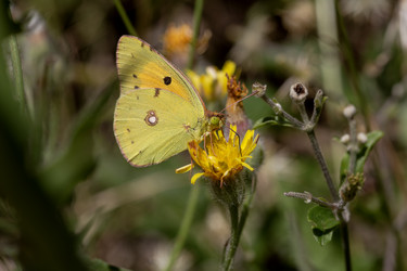 Similar image 21873564