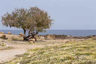 Similar image 21872456