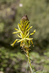 Similar image 21873589