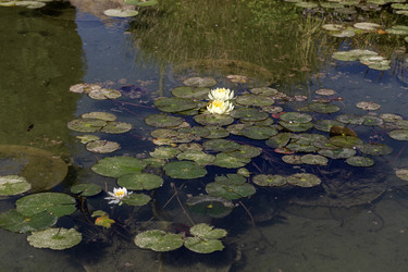 Similar image 21872460