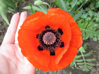 Similar image 21872873