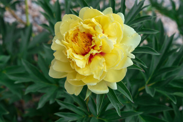 Similar image 21873567