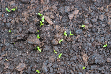 Similar image 21872875