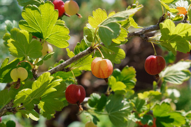 Similar image 21872876