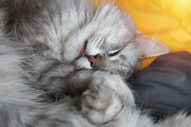 Similar image 21872884