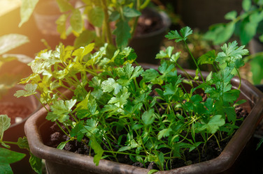 Similar image 21872885