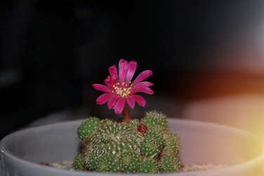 Similar image 21872887