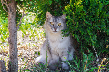 Similar image 21872888