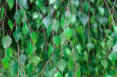 Similar image 21872889