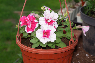 Similar image 21872890